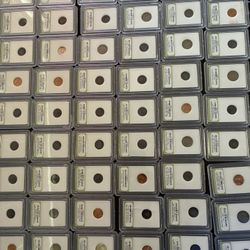 Pennies | Buffalo Nickels | Ect. Excellent Storage Find 