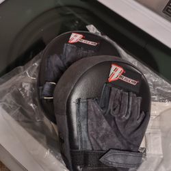 Revgear Focus Boxing Mitts