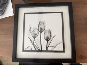 Black & White Tulip Framed Print