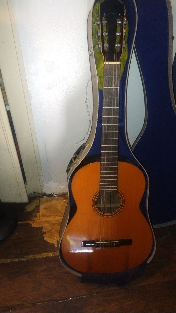 Digorgio Romeo N. 2 Acoustic Guitar 