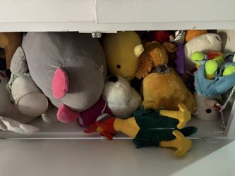 Stuffed Animals