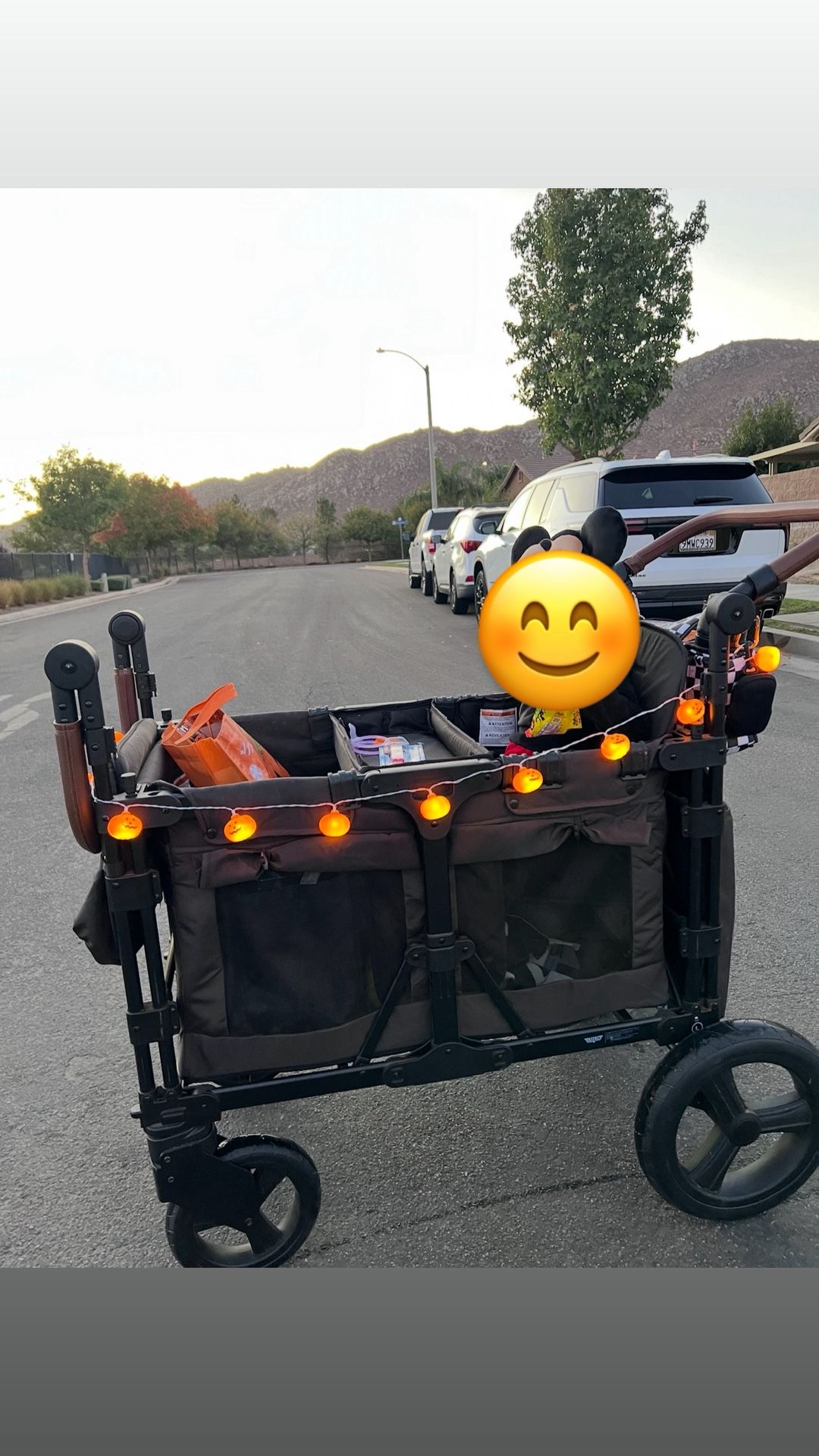 Keenz Stroller Wagon