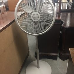 Fan