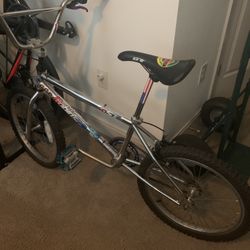 Robinson SST BMX “all Original”