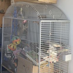 California king Cage