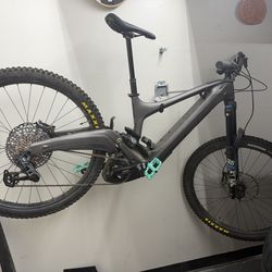 2025 Ibis Oso 29” e bike large