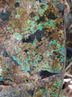 Raw natural Nevada turquoise