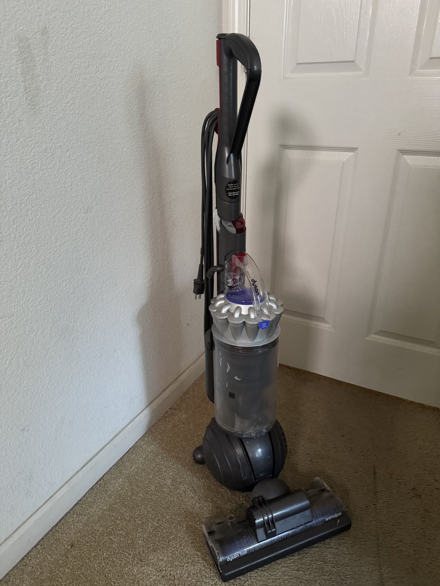 Dyson Ball Animal Pro Vacuum