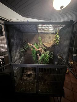 Animal/ Reptile cage
