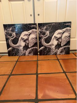 Set of elephant wall mount