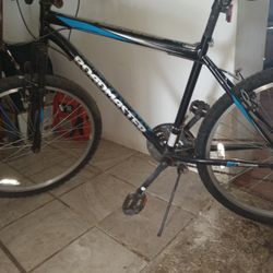 Roadmaster Mountain Bike