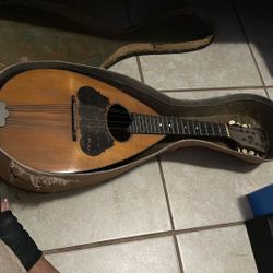 Restored Washburn 1915 mandolin rosewood