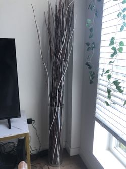 Plant
