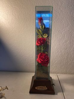 Vintage Musical Rose Glass Display Case