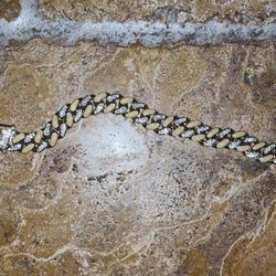 Golden Moissanite bracelet