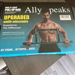 pull up bar/ workout equipment