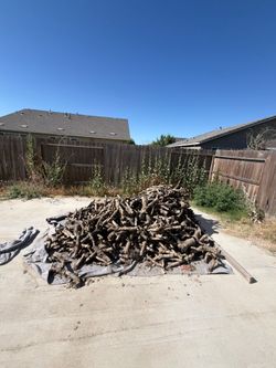 Free wood