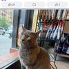 Jeffrey