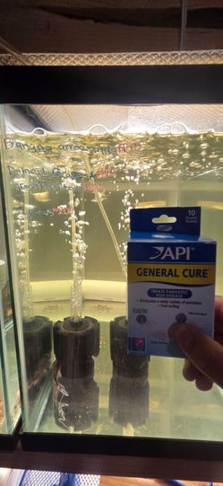 Arrowana general API cure