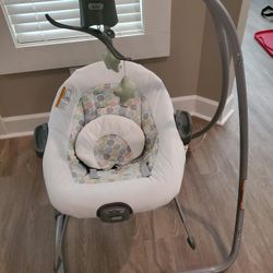 Swing Bouncer Set Combo Reg Price 160