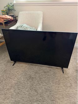 Vizio TV - 48 inch