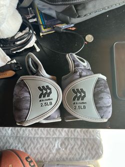 Ankle/Wrist Weights (2.5 lbs)