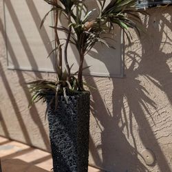 FREE: Artificial Plant + Holder