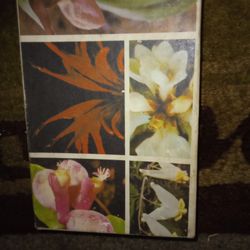 Mountain Wildflowers Series #4
