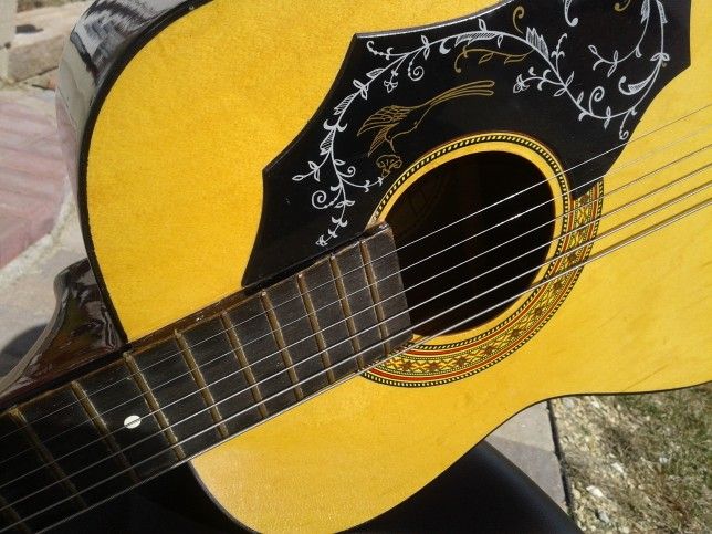 Global acoustic 2024 guitar hummingbird
