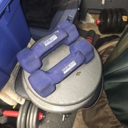 Set of 8 Lb Hand Weights