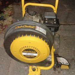 Cub Cadet Push Leaf Blower 
