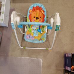 Fisher-Price Take Along Swing