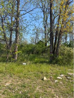 Free walnut woods