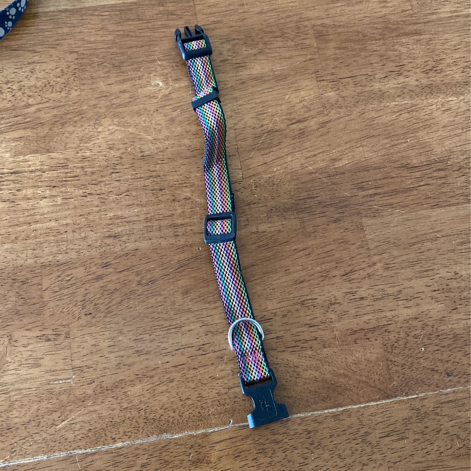 Multicolored dog collar