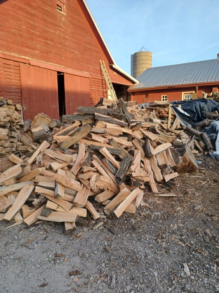 Firewood