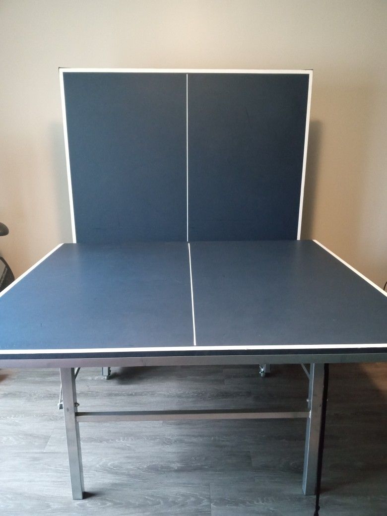 Ping Pong Table 