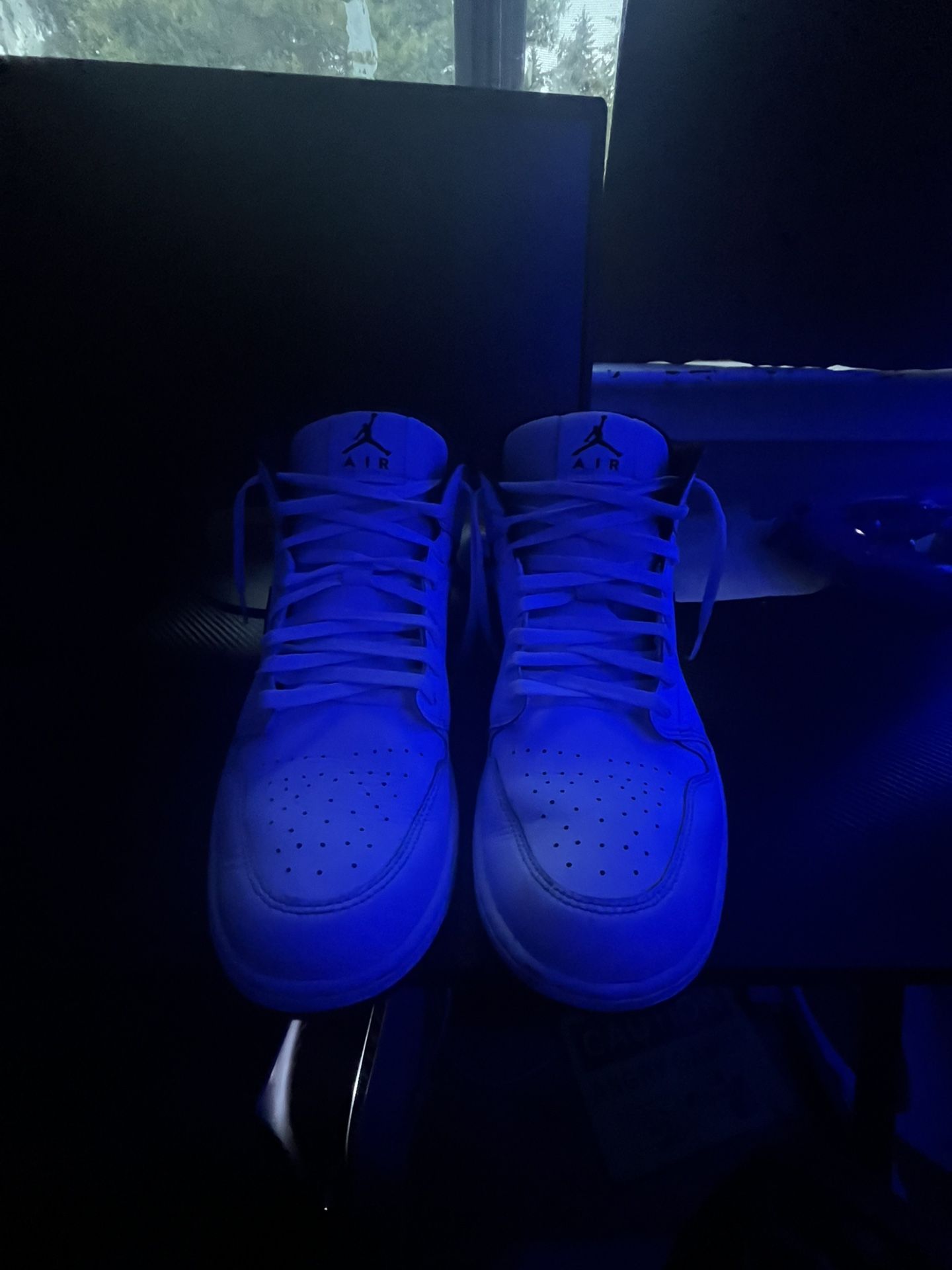 Jordan 1 Mids