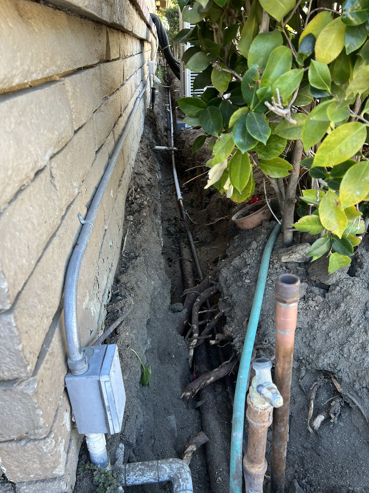 Copper Pipe 