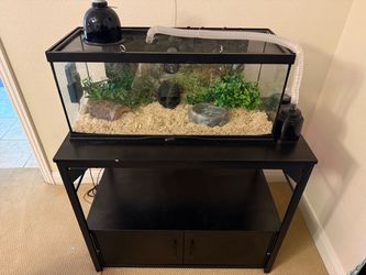 Complete Reptile Habitat Setup w/ Stand, Fogger, Heat Light & Monitor