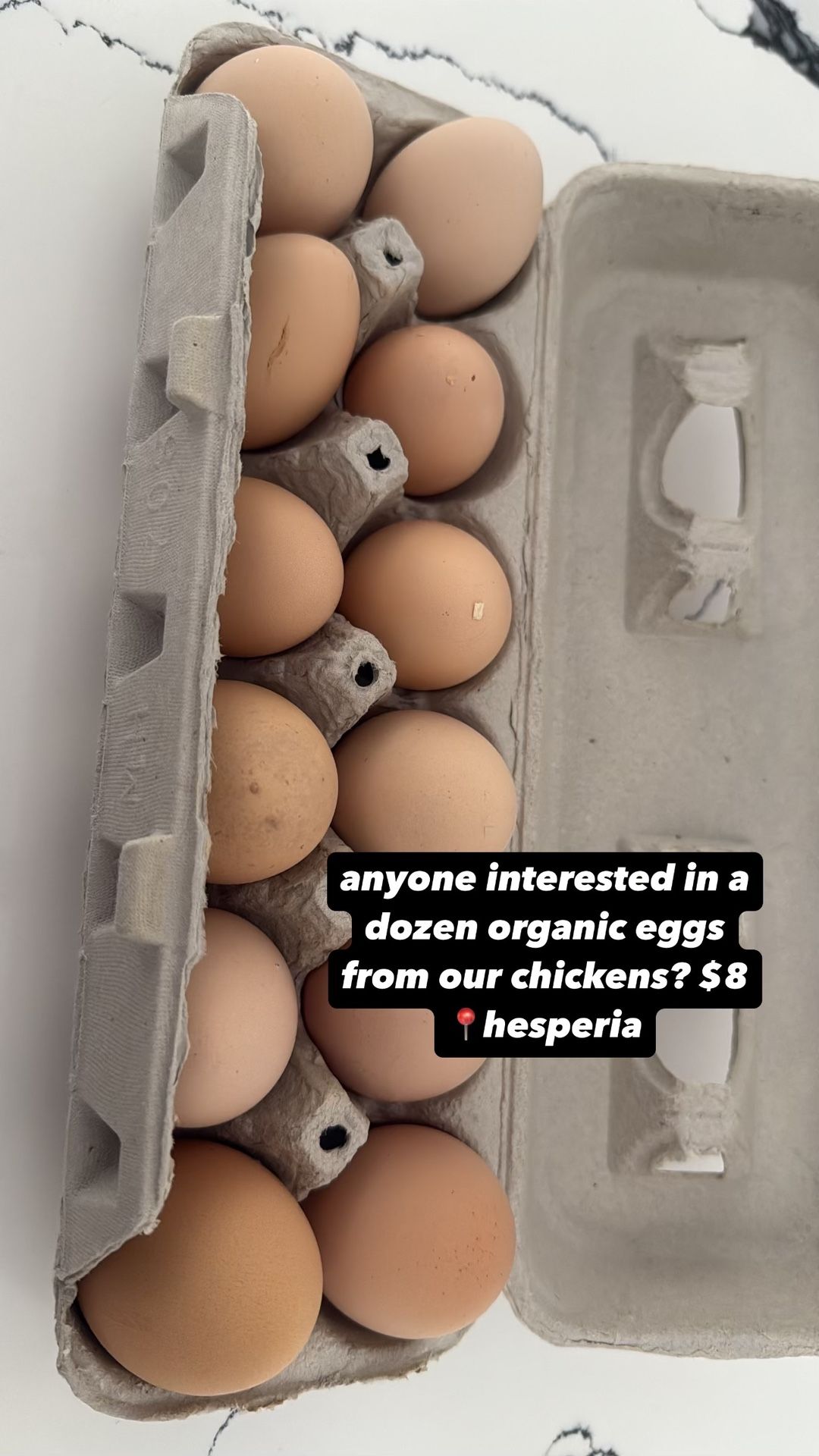 Organic Eggs