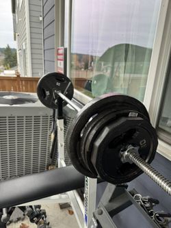 Barbell Bar With Weights 