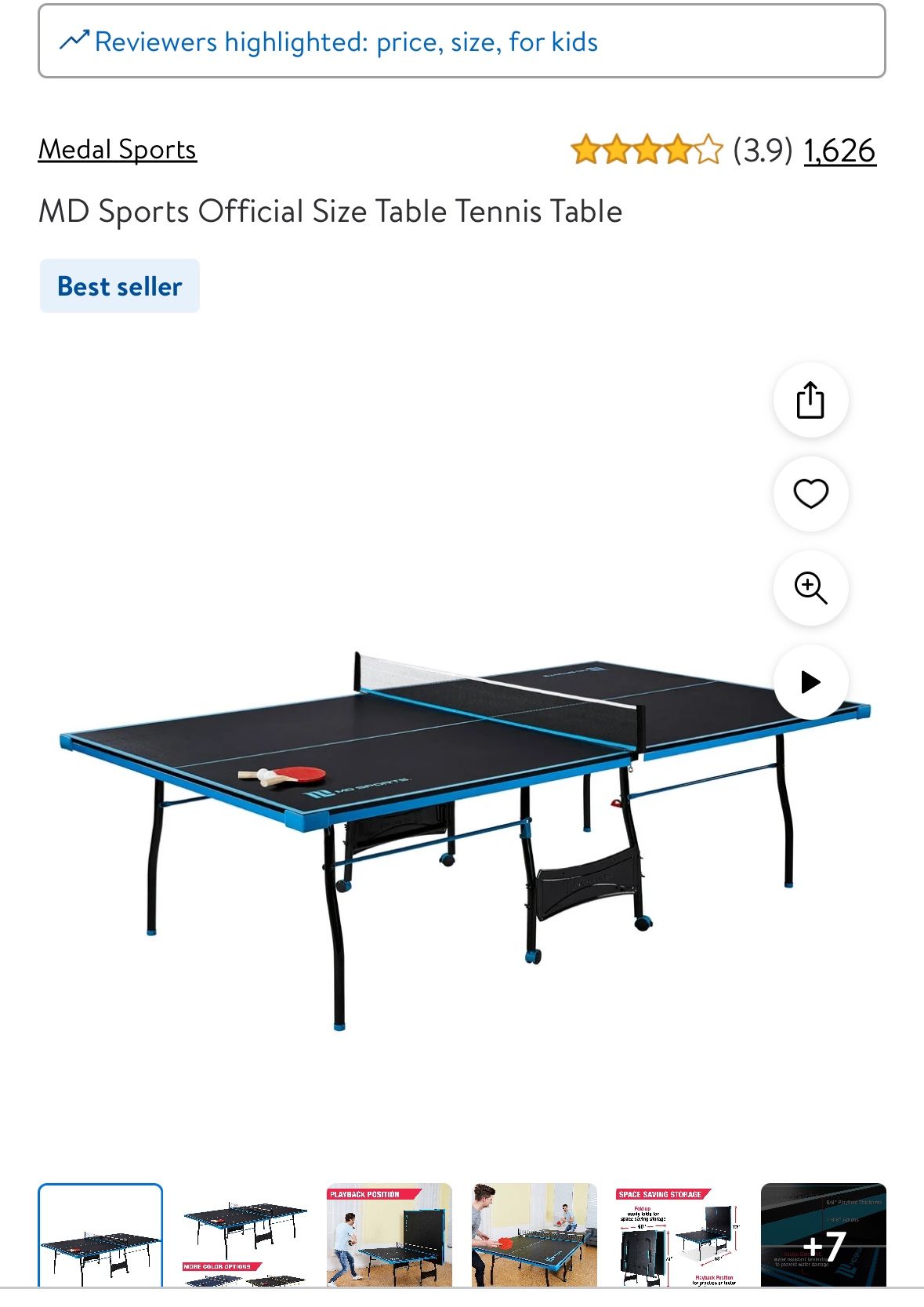 Ping Pong Table 