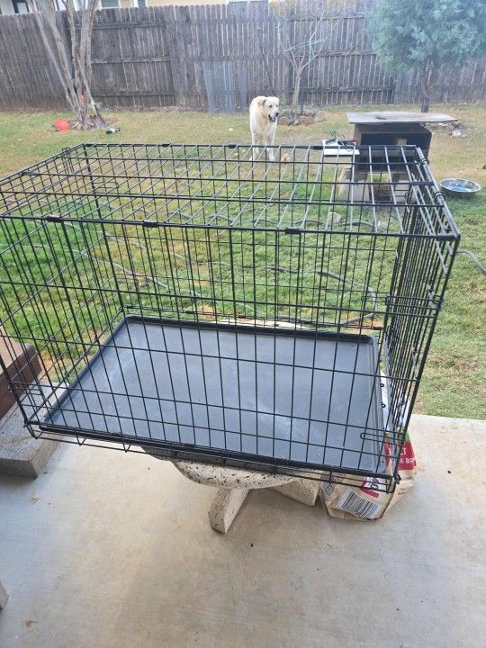 Dog Cage