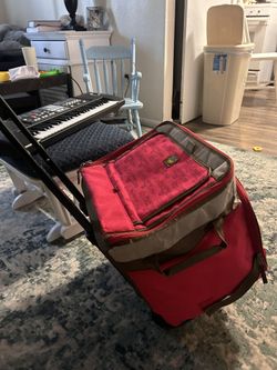 Insulated rolling cooler