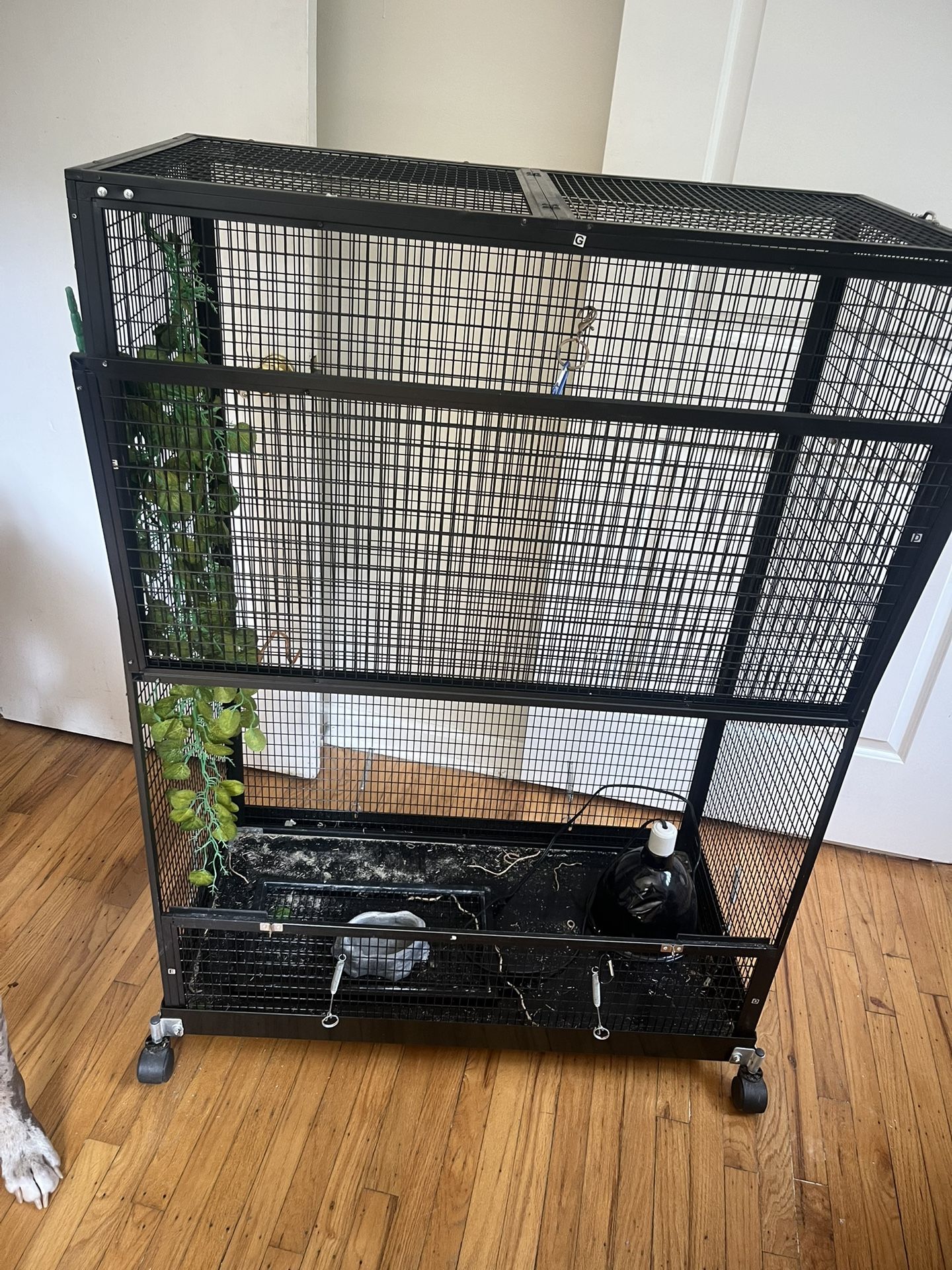 Reptile Cage