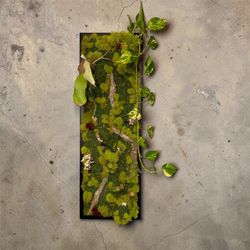 Living wall