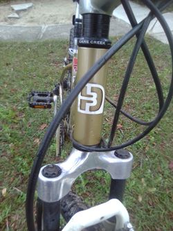 diamondback luster 2