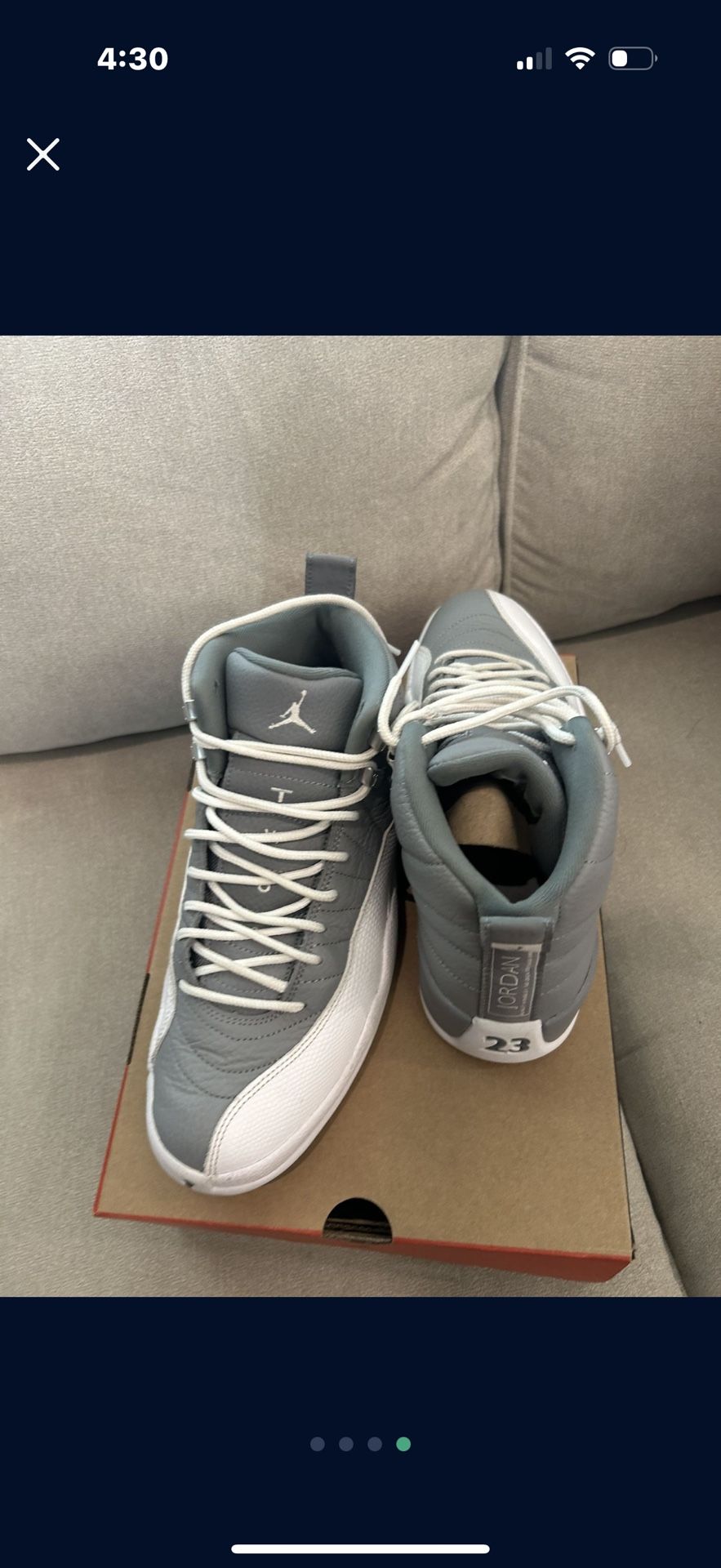 Grey Jordan 12 Retro “stealth”