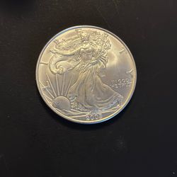 2005 Silver Eagle