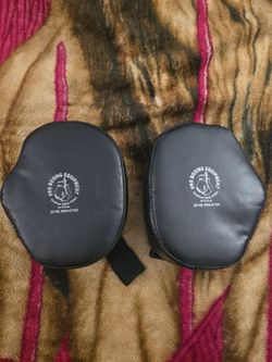 PRO Boxing Equipment Focus Mitts – Punching Pads